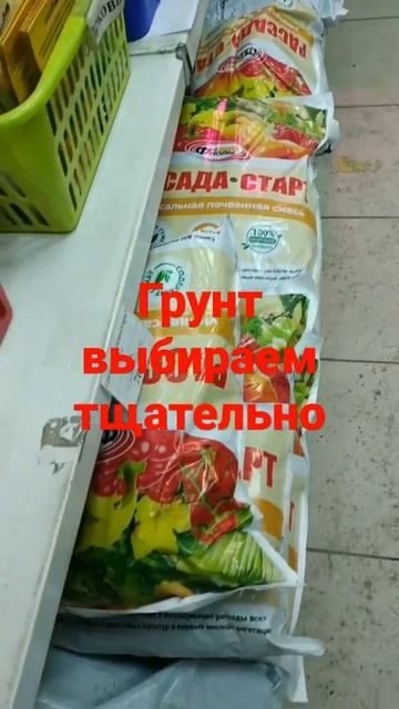 здоровая почва- отличная рассада смотреть онлайн