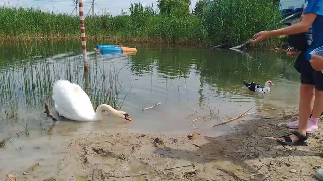 25.05.30 1 смотреть онлайн