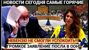 ВЕСЬ ЗАЛ ВСТАЛ! Небензя в ООН не смог смолчат! Такого ЕЩЁ в ГА ООН не Слышали!