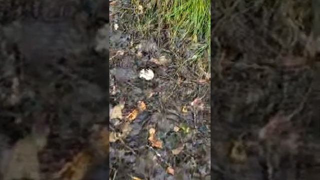 Мы встретились