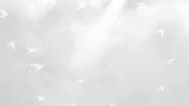 Natasha L. Сыну. Liric Video.