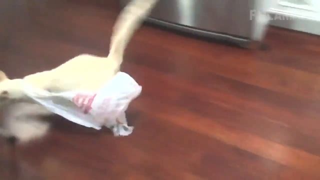 16.05.2017 Видео дня: fail #11 / Videos of the day: fail #11 смотреть онлайн