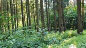 Новый день / Лена LIFE / Разоблачение сестры! / Обзор влог?