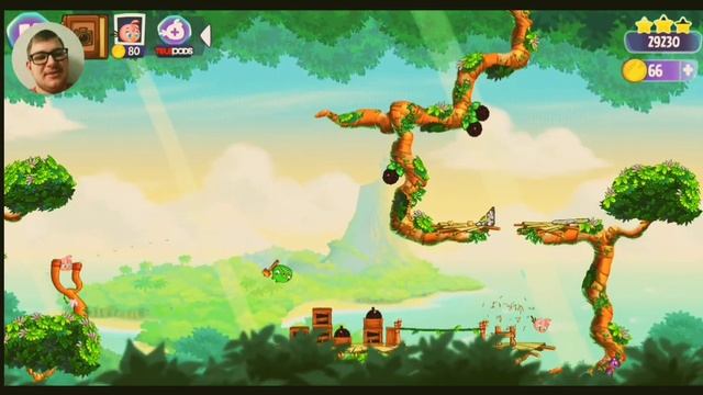 Angry birds stella. Свиньи украли мой альбом!