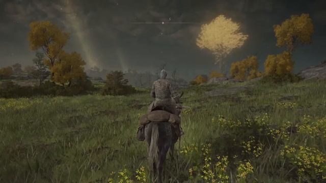 ELDEN RING.Mad joker.ps5.прохождение)))