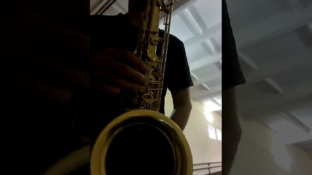 Ямаха 52 + Vandoren Java T55