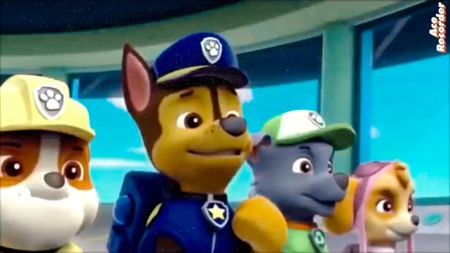 ✨Гонщик✨/✨Chase✨ смотреть онлайн