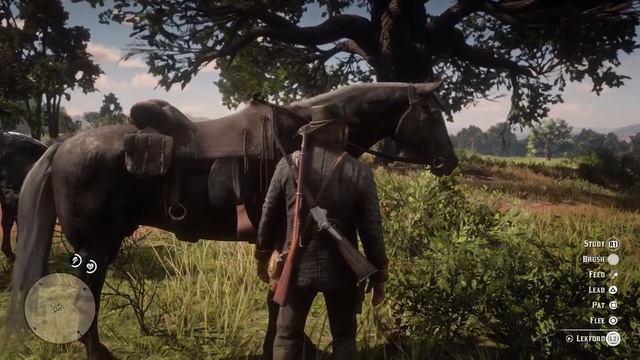 БОЙ С НОЖАЦИ | Red Dead Redemption 2 #21 смотреть онлайн