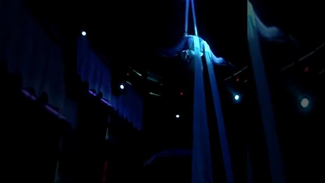 Silks Aerial Act / Воздушные акробаты на полотнах
