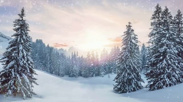 16 февраля - Щедрый день. Обязательно на столе оставьте монеты. смотреть онлайн