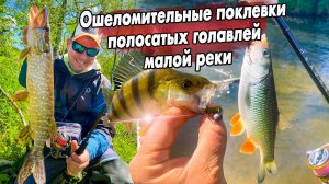 Ловля головля на малой реке в мае / Денис Вихров