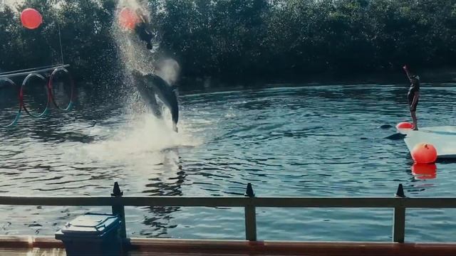 Куба 2018 (анонс)