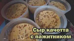 Рецепт сыра качотта с пажитником