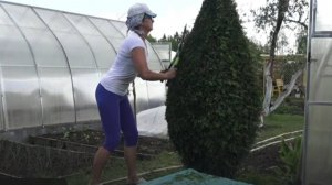 6 соток 26 мая 2025 года. 2 часть.