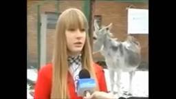 Девушки тоже пердят