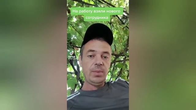 Приколы из ТикТок 89