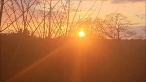 @МИКС @Видео Сюжетов.  ЖИЗНЬ НА ЮГЕ АНГЛИИ.  ЛЮБУЮСЬ ЗАК?