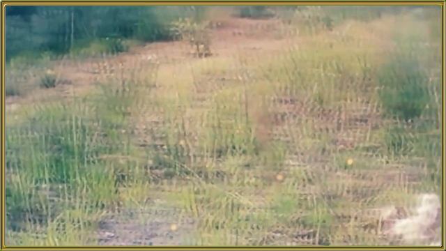 ПРОСТИ МОЯ ДЕВОЧКА - Вячеслав СИДОРЕНКО