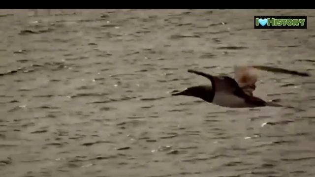 Убийство На Железной Дороге 'Первое Убийство' (1я Серия) смотреть онлайн