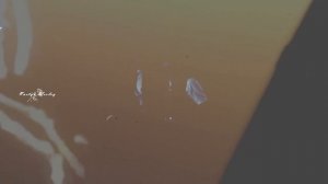 Nick and Noah | Culpa mía | Фараон / Ник и Ноа | Сulpa Tuya