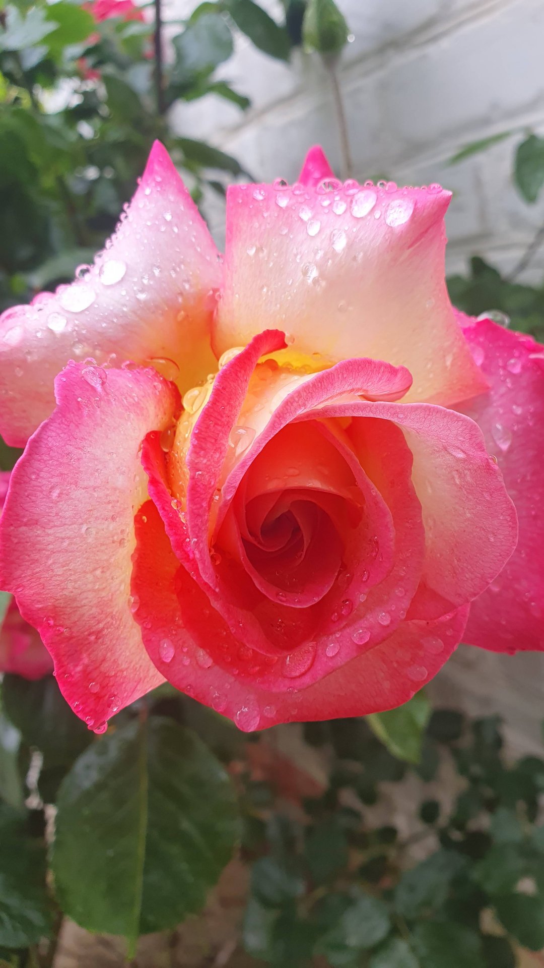 После дождя в Крыму — когда природа говорит