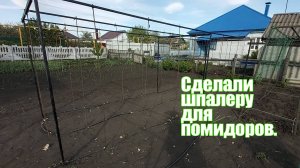 Шпалера для помидоров