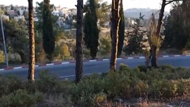 Independence Day. День Независимости 2016. смотреть онлайн