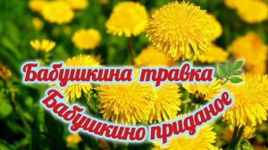 НАРОДНАЯ ПРИТЧА. БАБУШКИНА ТРАВКА- БАБУШКИНО ПРИДАНОЕ.