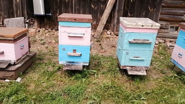 Майское расширение пасеки смотреть онлайн