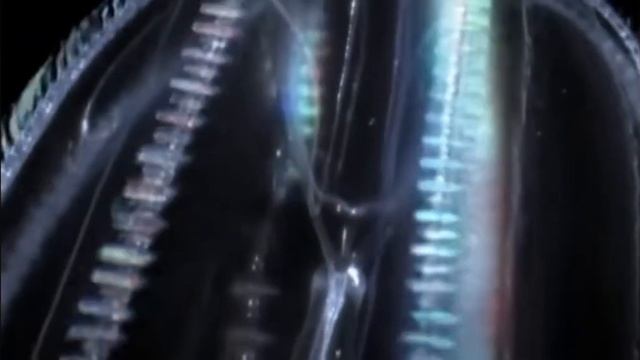 Топ Самых Жутких и Хищных Монстров Океана.