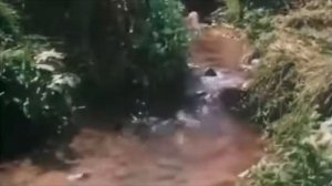 LiL BO WEEP - DEAR GOD НА РУССКОМ + LYRICS