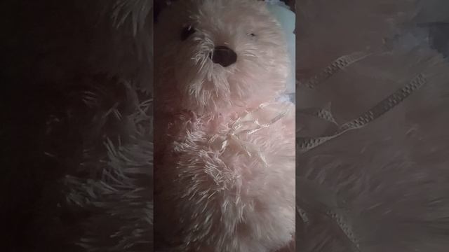 Из чего состоит доброта.