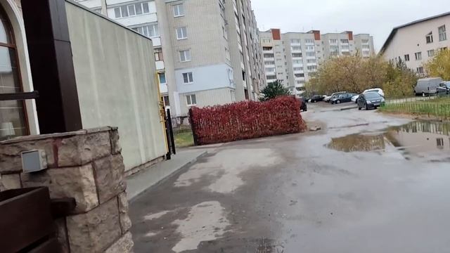 Буду голодать, но маникюр сделаю/Начала подготовку к п смотреть онлайн