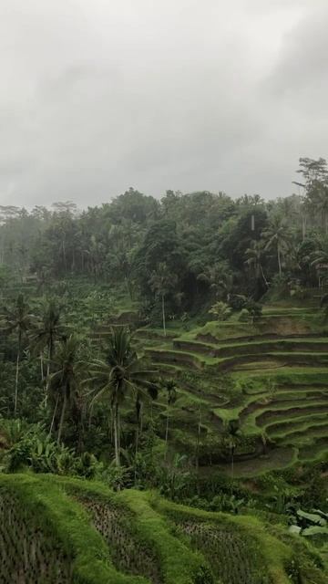 Дождь на Бали смотреть онлайн