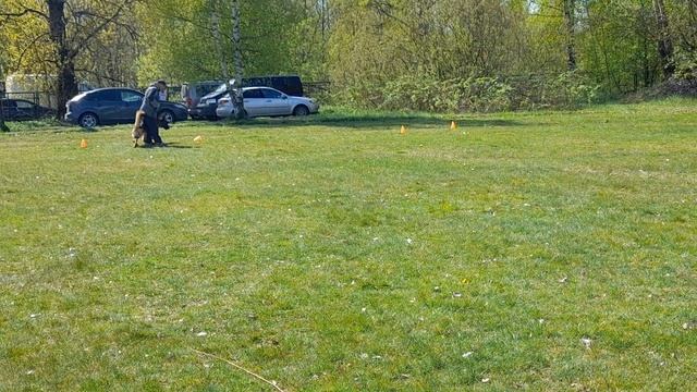 3.  выражено/перв DE ORSE MAK FLAI ISTVUD (Uran Della Val Sangro – De Orse Mak Flai Leroya)