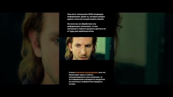 Чем заменить таблетку NZT? Разбор фильма "Области тьмы"