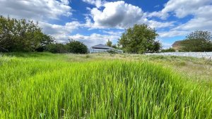 Продажа участка 9,97 соток у Симферополя!