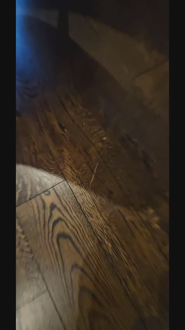 Как убрать царапины на паркете. смотреть онлайн