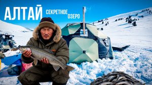 ДАЖЕ МЕСТНЫЕ В ШОКЕ ОТ ЭТОГО ОЗЕРА НА АЛТАЕ!! ЗДОРОВЕННЫЕ РЫБЫ ЖИВУТ В НЕМ. ЗИМНЯЯ РЫБАЛКА. АЛТАЙ