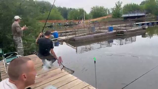 Осетр клюет сразу после запуска смотреть онлайн