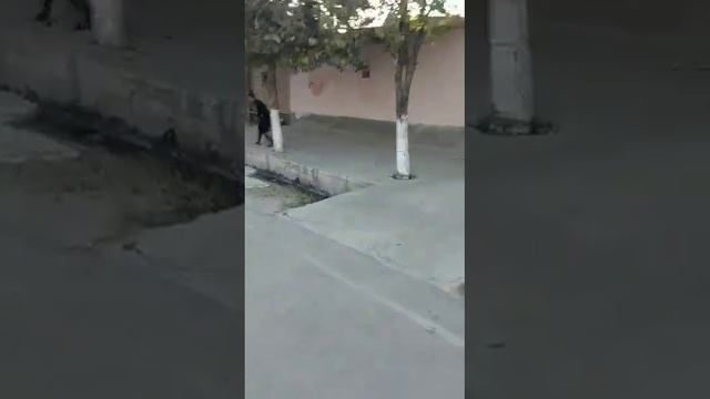 Самарканд 30 лет назад(4)