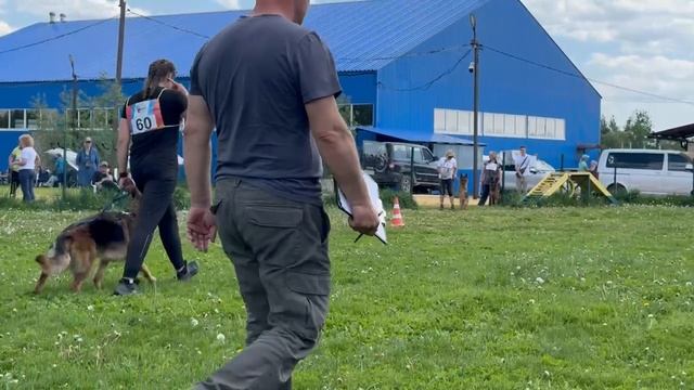 1 Оч/хор TOTOSHA Di Fiamma Vivo +++ №60. КЧК БРОННИЦЫ 25 мая`25 Bogoeski/Васильев Моно нем.овчарок