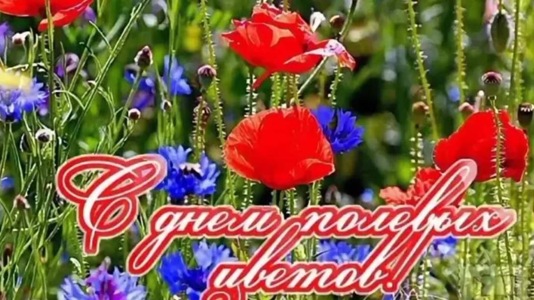 5 июня День полевых цветов смотреть онлайн