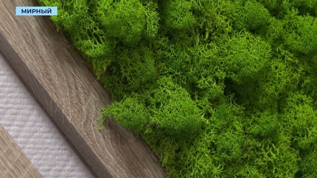 В Культурно-спортивном комплексе используют безопасн смотреть онлайн