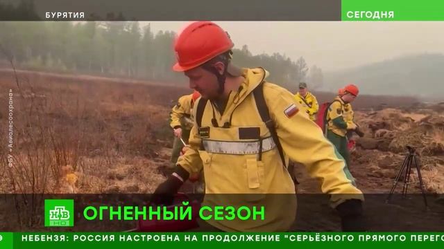 НТВ # Сегодня_Огненный сезон смотреть онлайн