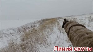 Охота на зайца «лучшие моменты сезона 2024-2025г.»