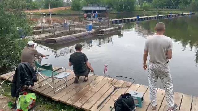 Осетр на селедку смотреть онлайн