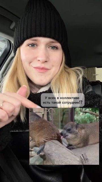 У всех в коллективе есть такой сотрудник!?😄 #работа #к? смотреть онлайн
