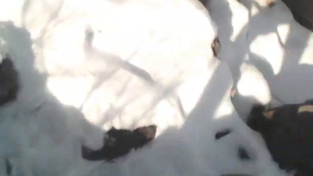 Vlog #3 Баржи и очаровательная старушка