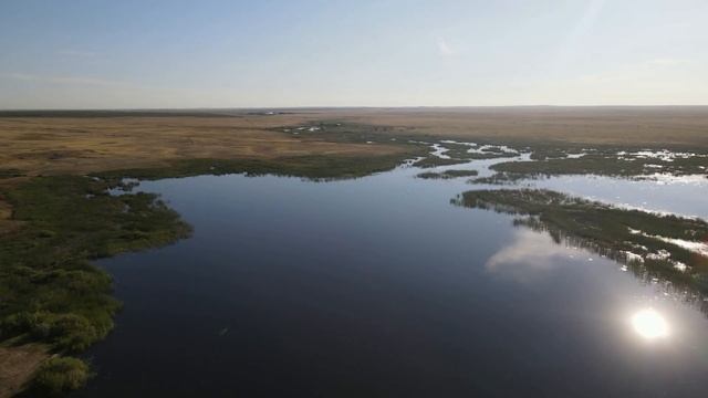 Присел на пенёк смотреть онлайн